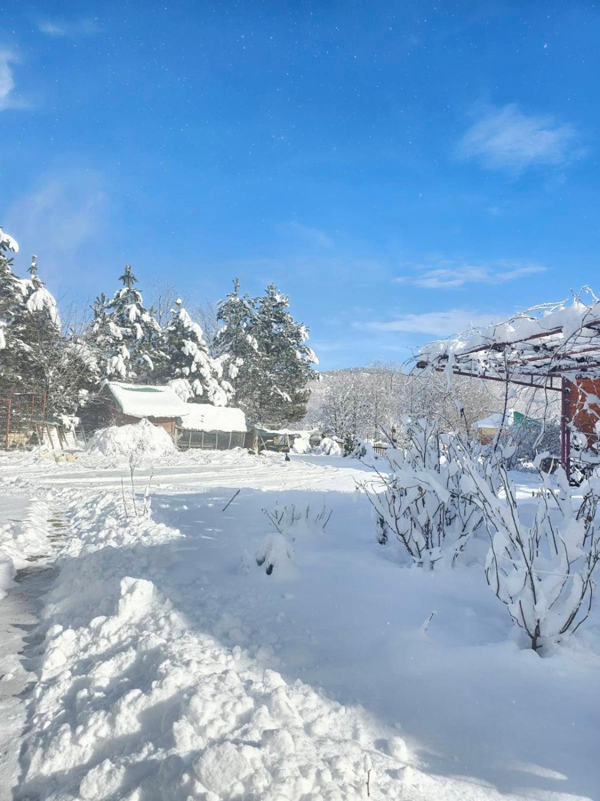 Konaci Oceva Zemlja Bungalovi Konaci Oceva Zemlja Vikendica Mojkovac Bagian luar foto