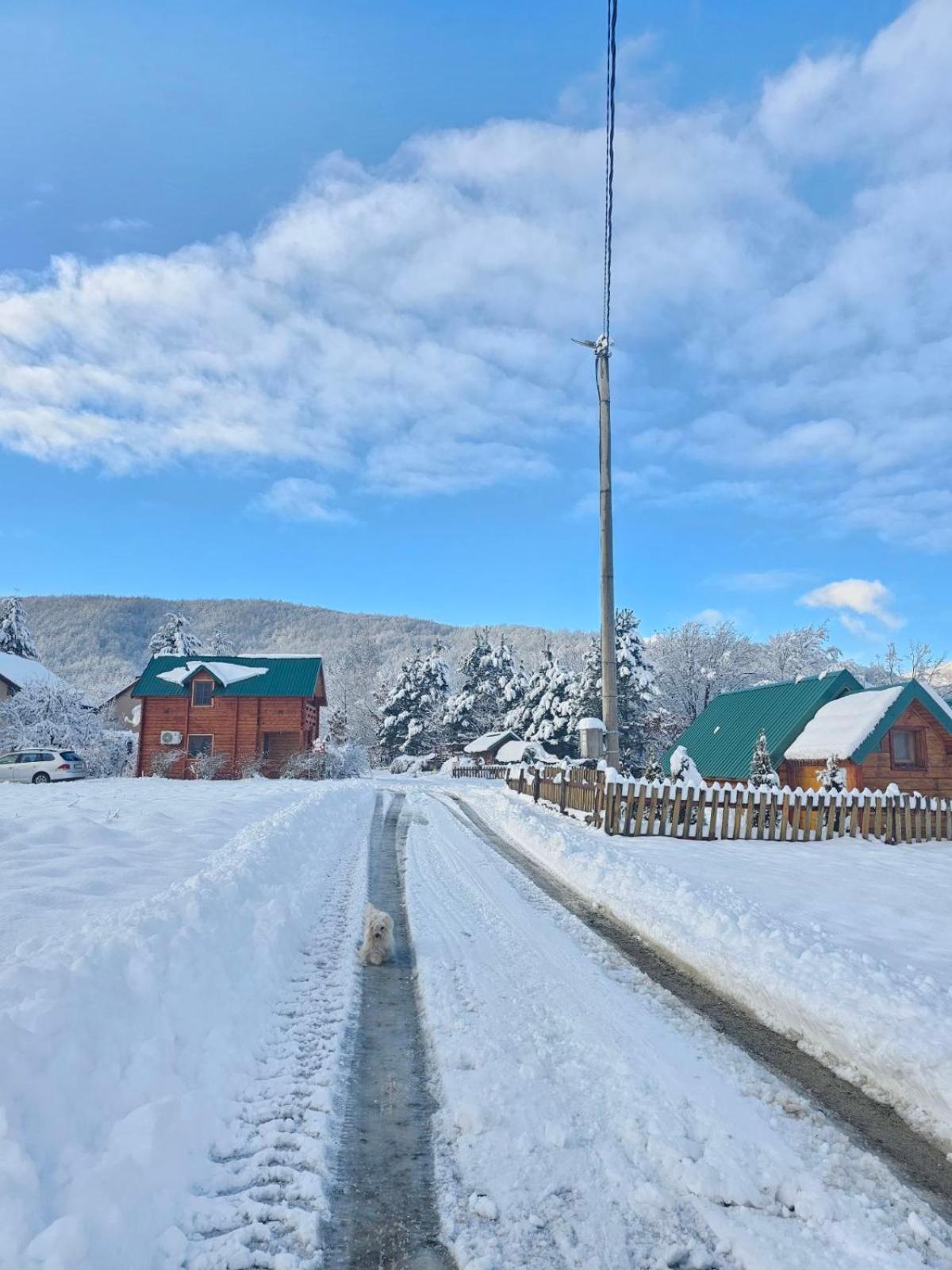 Konaci Oceva Zemlja Bungalovi Konaci Oceva Zemlja Vikendica Mojkovac Bagian luar foto